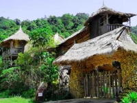 Tree Top Bungalows 