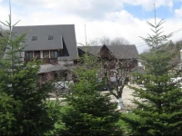 Pension Sf Nicolae 3*