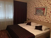Hotel Schlussel Binningen 1*
