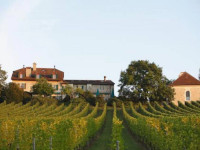 Domaine De Chateauvieux