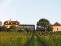 Domaine De Chateauvieux 4*