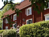 Steningevik