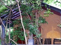 Akein Nature House 
