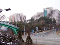 Daemyung Resort Danyang 3*