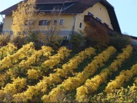 Weingut Winzerzimmer Toso 1*