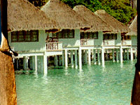 Club Noah Isabella