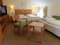 Park Hotel Am Lindenplatz 3*