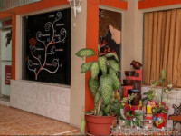 Hotel Ejecutivo