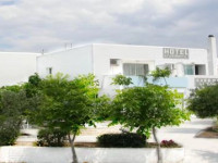 Apollon