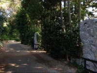 Hotel Casina Copini 3*