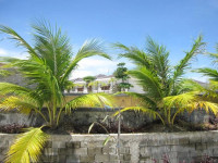 Marina Villas