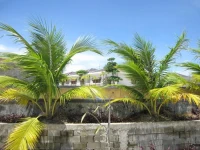Marina Villas 4*