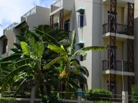Pingouinvillas 