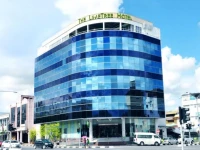 The LimeTree 3*