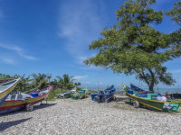 Miri Trail Guesthouse