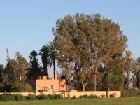 Le Jardin De La Koudya 