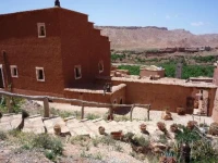 Tigmi El Janoub 