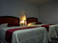 Hotel Mediterraneo 3*