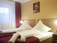 Complex Turistic Caprioara 3*