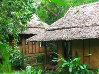 Fern Resort