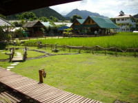 Pitchaporn House