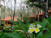Koh Mook Rubber Tree Bungalow