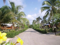 Chumphon Palm Resort