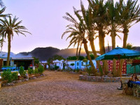 Habiba Camp