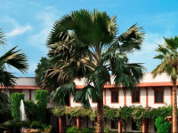 Trident Agra