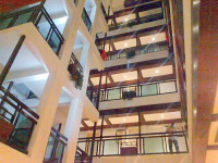 Nandan