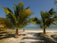 SilverSand The Beach Resort