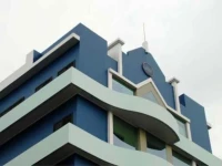 Peony Hotel Pontianak 3*