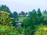 Patra Parapat Lake Resort