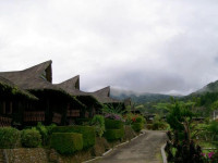 Tor Sibohi Nauli