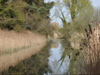 Bridge Bed and Breakfast