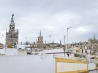 Petit Palace Marques Santa Ana 4*