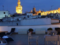 Petit Palace Marques Santa Ana