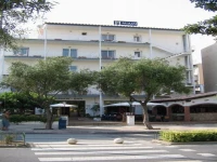 Miami Hotel Tossa de Mar 1*