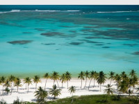 Fortuna Palladium  Punta Cana