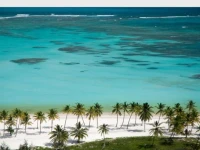 Fortuna Palladium  Punta Cana 5*