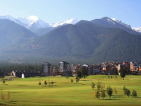 Terra Complex 