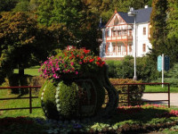 Villa Alpska Ruze