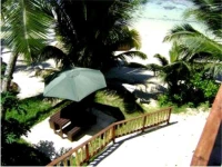 Rose Harry Cove 1*