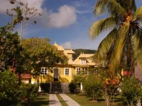 Yellow House 