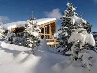 Chalet Razzie 5*