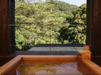 Seikansou