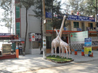 Nilima Resort Hotel