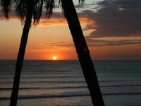 Barcelo Montelimar Beach Resort and Casino