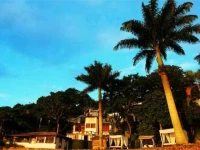Martin Pescador 4*