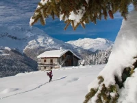 Hotel Pedranzini 3*